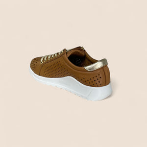 EG256 - TAN