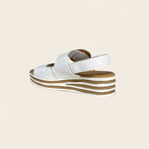 CRICKET - WHITE