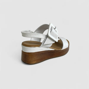 DUTCH - WHITE