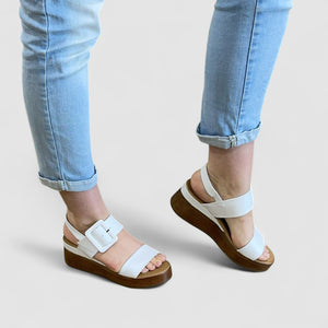 DUTCH - WHITE