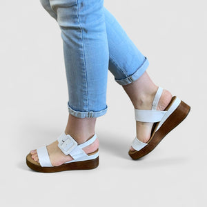 DUTCH - WHITE