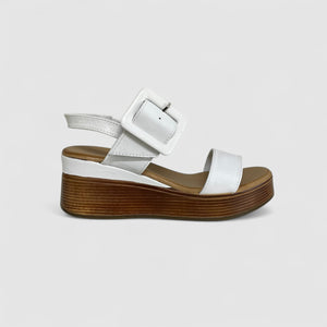 DUTCH - WHITE