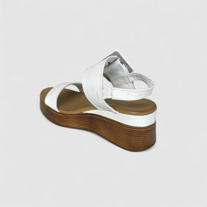 DUTCH - WHITE