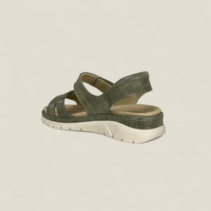 MONTY - OLIVE