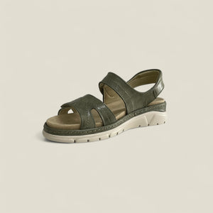 MONTY - OLIVE