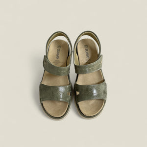 MONTY - OLIVE