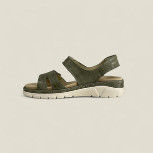 MONTY - OLIVE