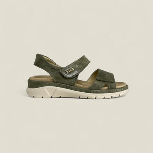 MONTY - OLIVE