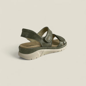 MONTY - OLIVE