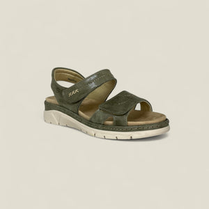 MONTY - OLIVE