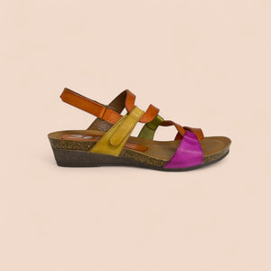 OSINA - MULTICOLOR