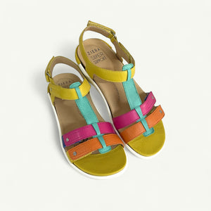 BAILA W - BRIGHT MULTI